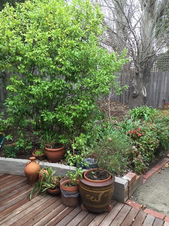 Garden Cottage St Kilda メルボルン エクステリア 写真