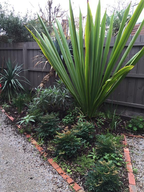 Garden Cottage St Kilda メルボルン エクステリア 写真